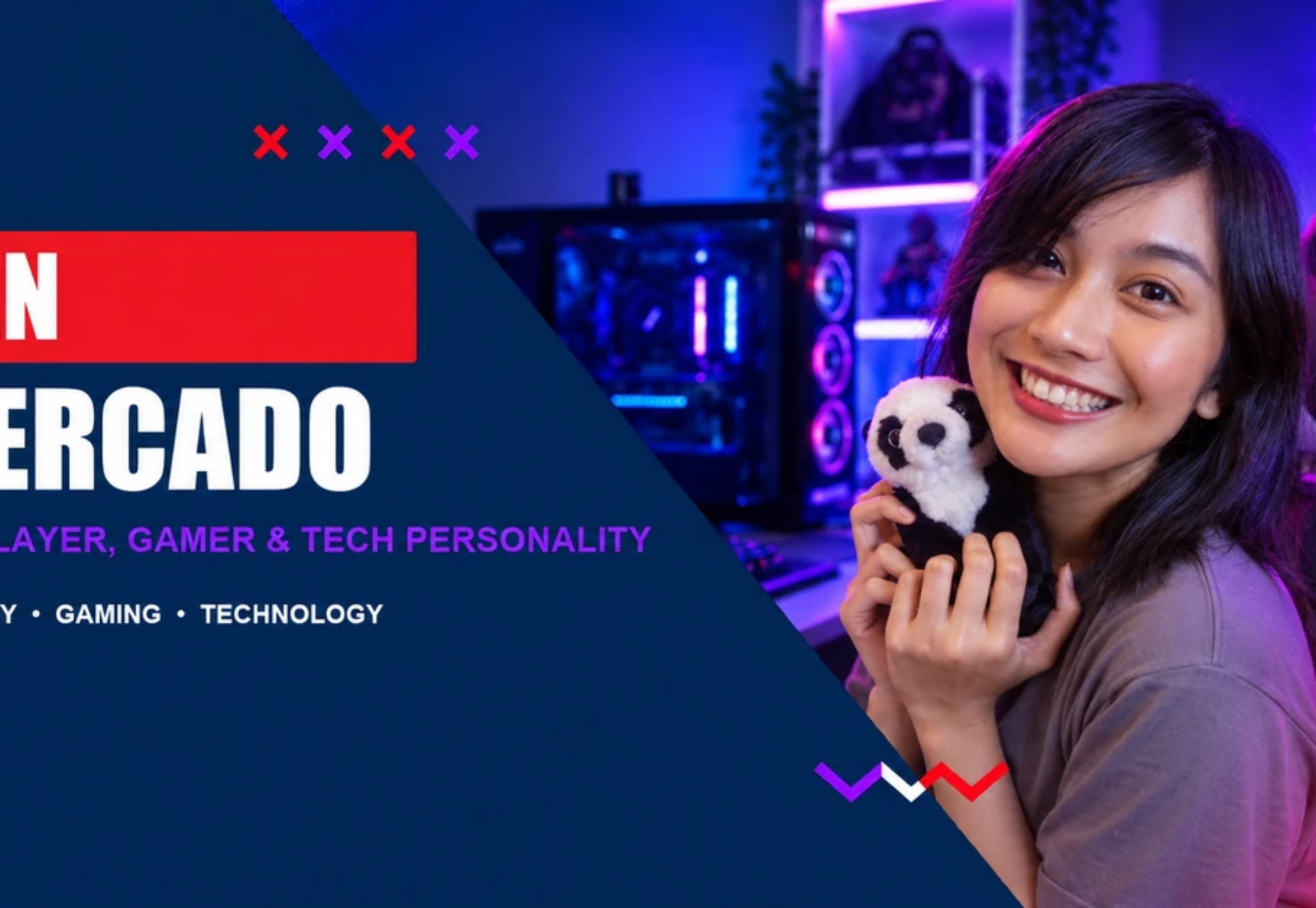 een-mercado-gamer
